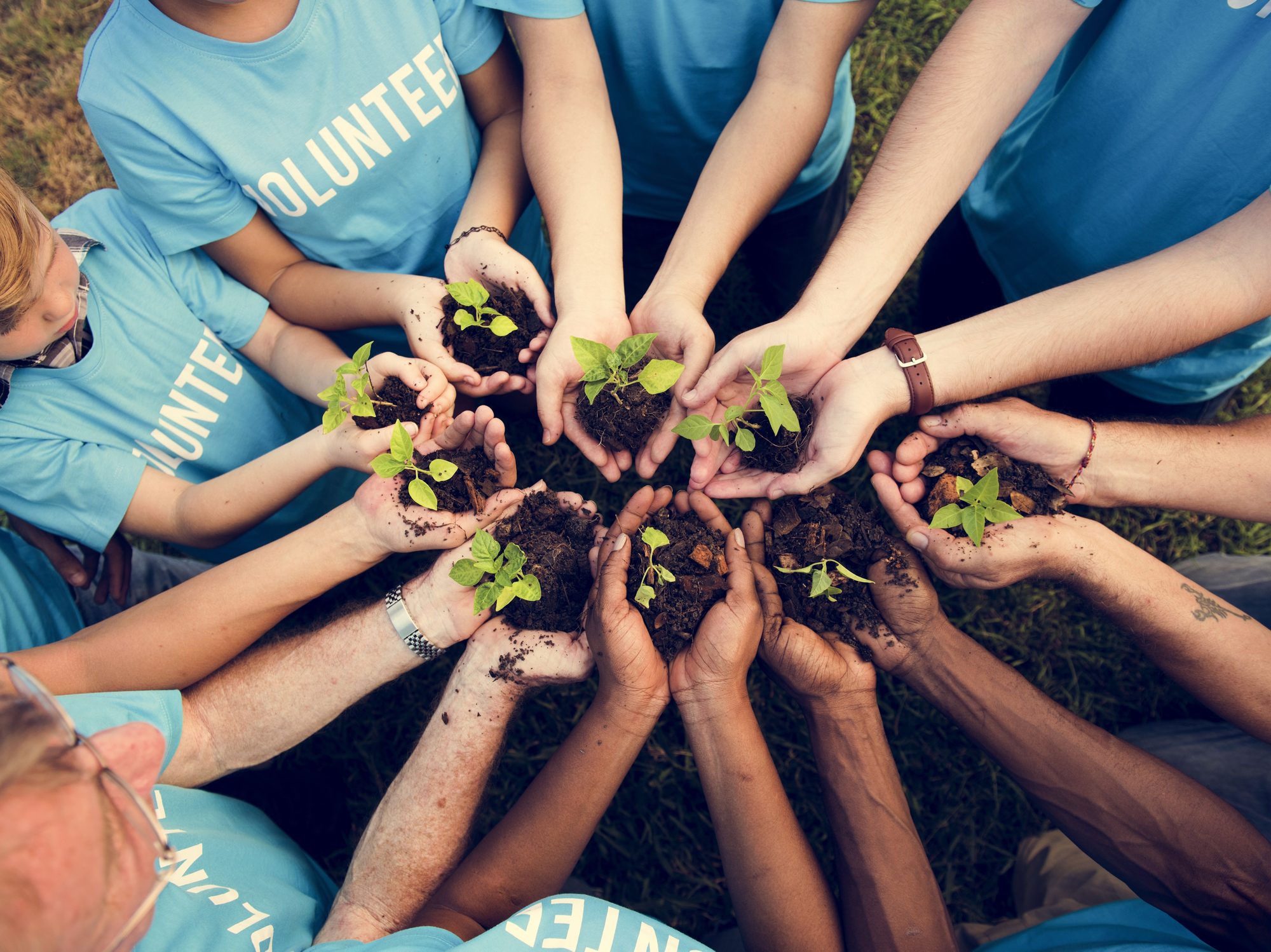 Group of volunteer with sprout for growing
